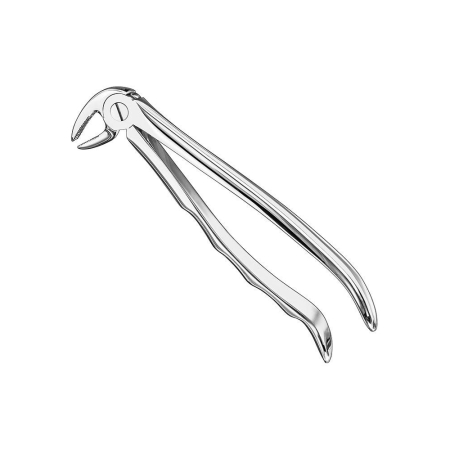 Extracting forceps, anat.